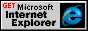 IE Logo (7090 bytes)